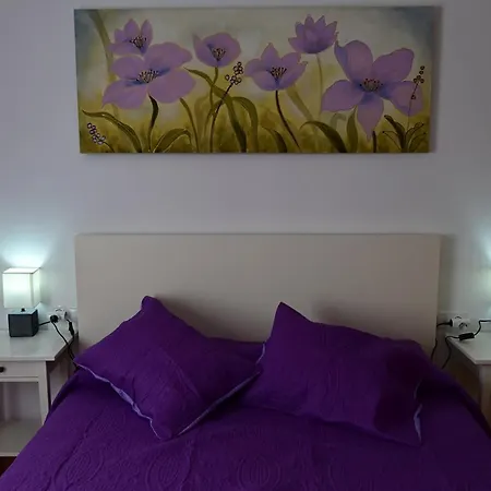 Ale's House Apartment *
